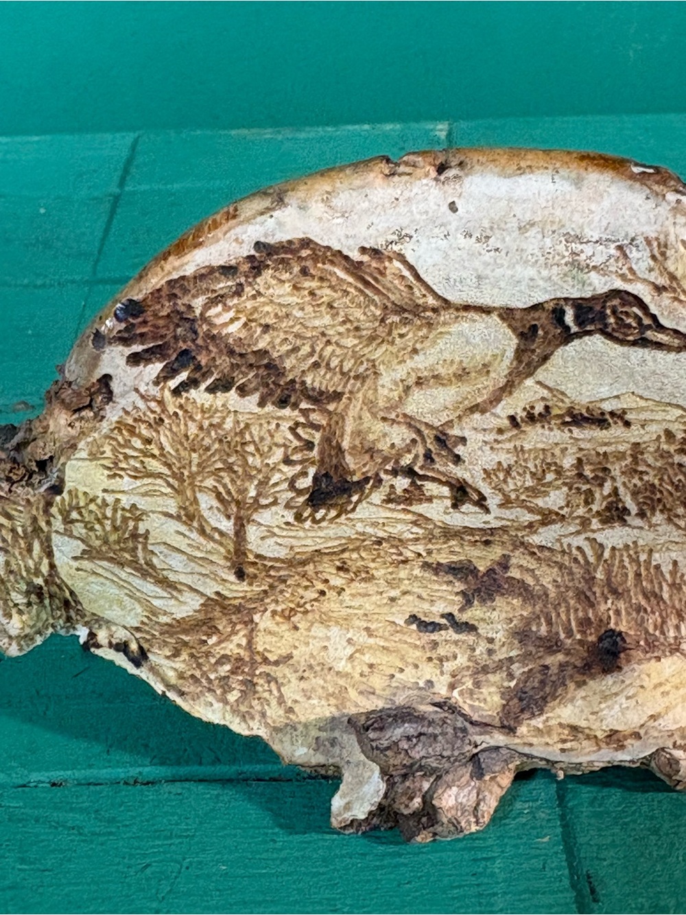 Hand‑Burned Wildlife Art on Dried Tree Conk — Rustic Decor